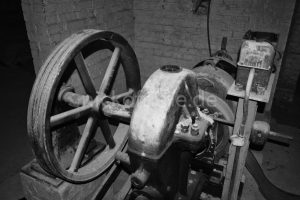 Haus der Freundschaft