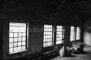 VEB Druck- und Lederfarbenfabrik Halle